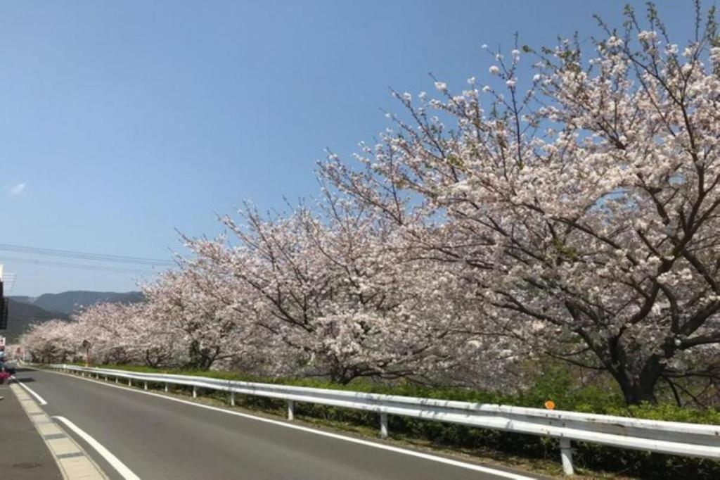 Business Hotel Kawakami Kumano Extérieur photo